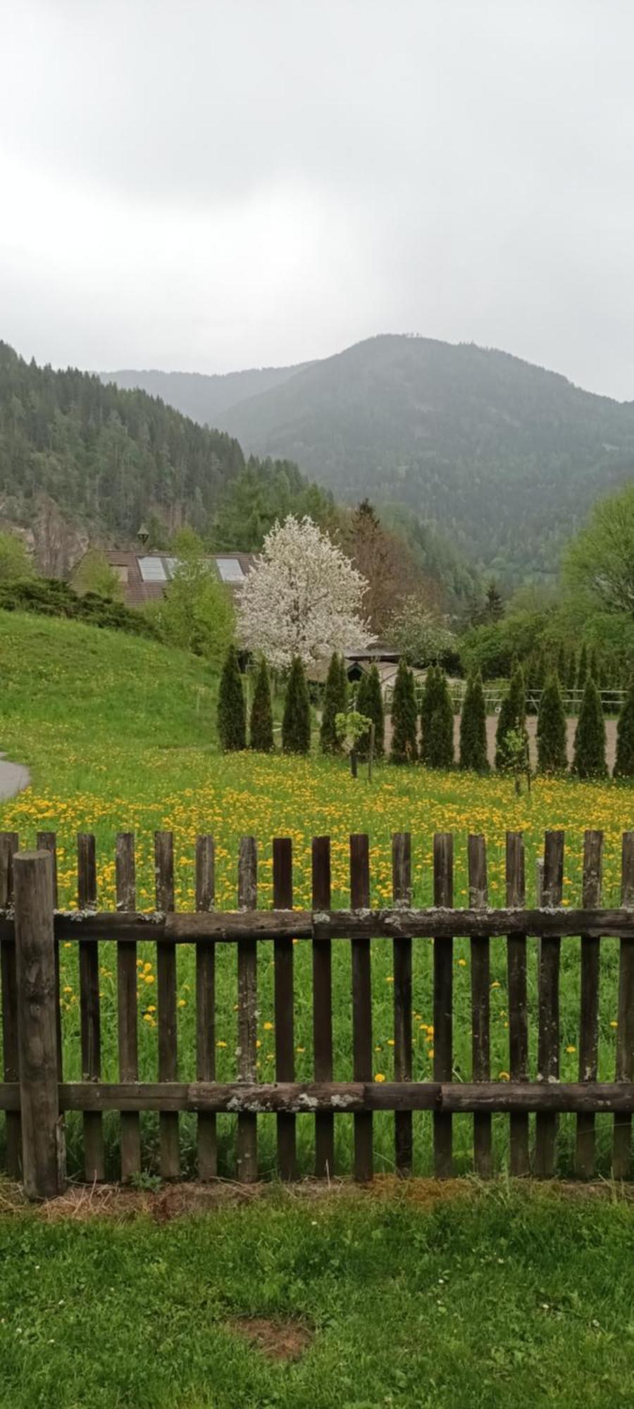 Umundumhuette Villa Katsch an der Mur ภายนอก รูปภาพ