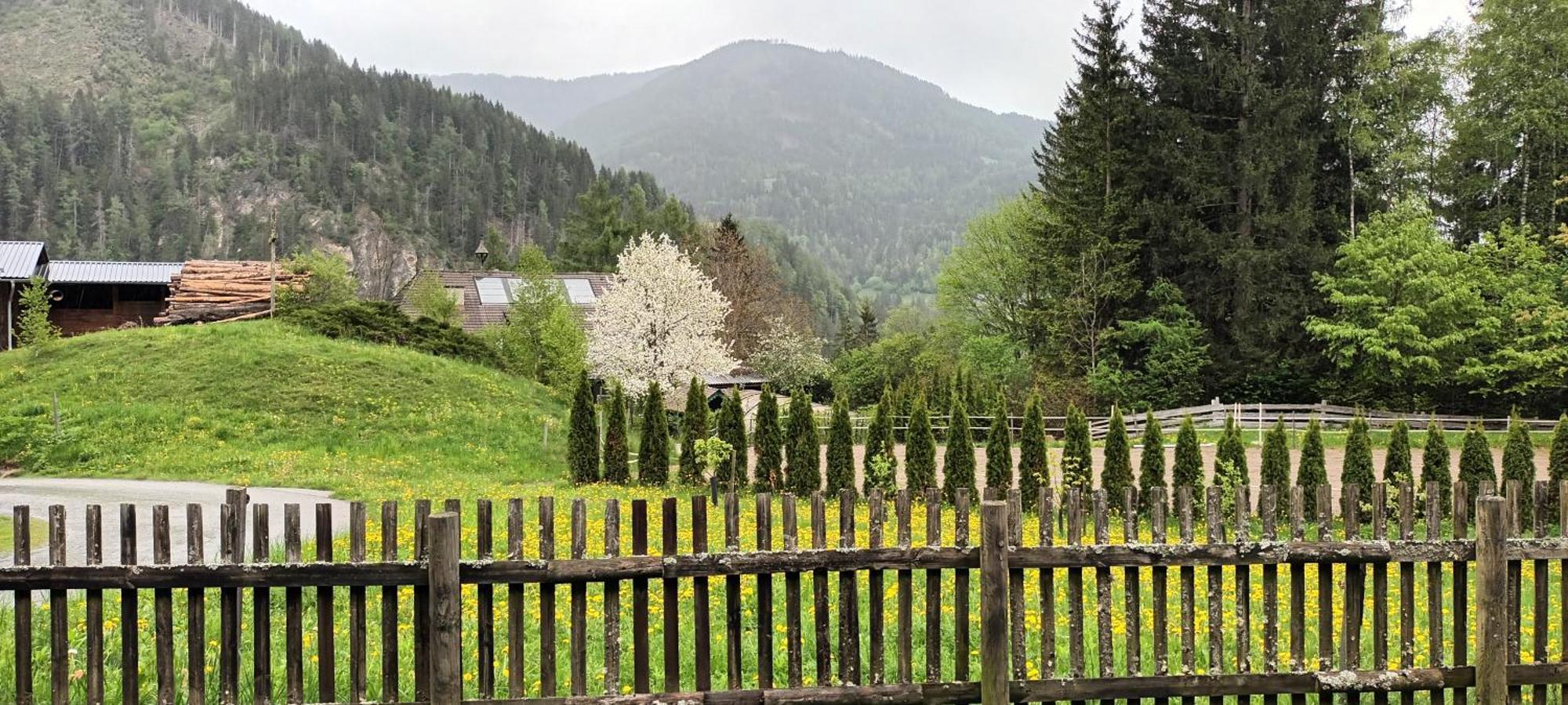 Umundumhuette Villa Katsch an der Mur ภายนอก รูปภาพ